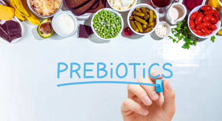 Probióticos e prebióticos